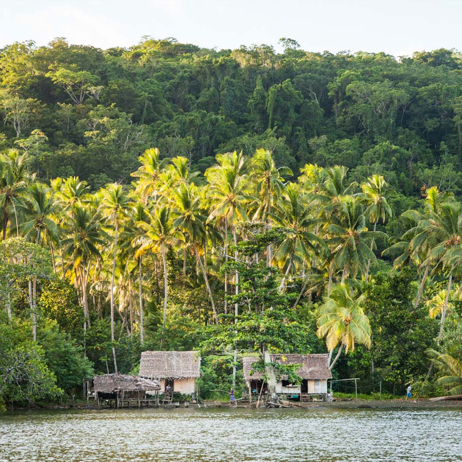 Strengthening-Land-and-Forest-Rights-Program