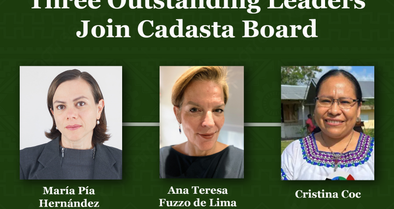 Board-appointment-blog-Maria-Ana-Cristina