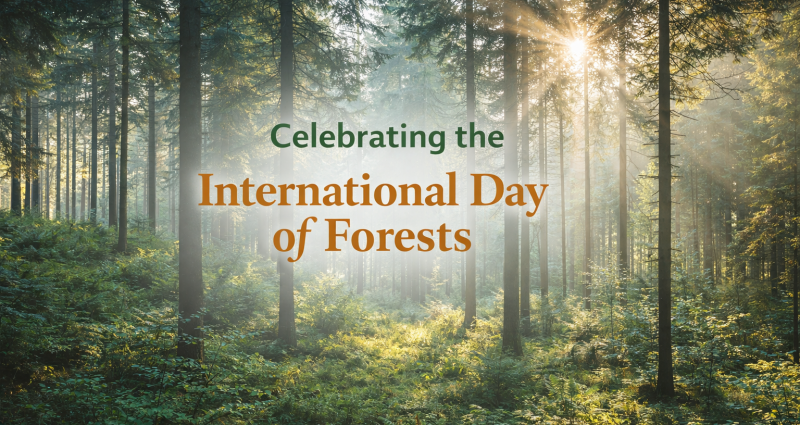 ChatGPT Image Mar 31, 2026, 06_04_10 PM