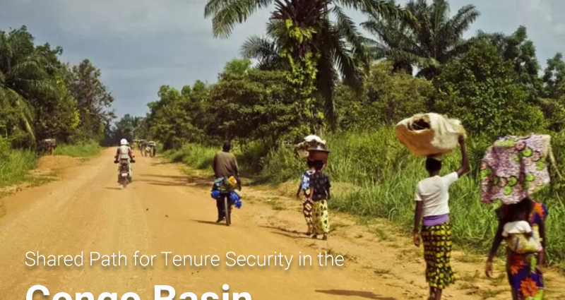 Graphic - Congo Basin blog - Jan 2026