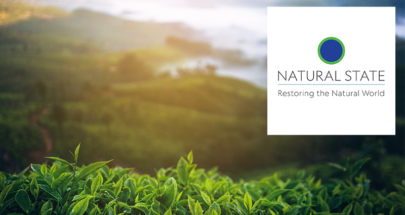 Graphic - Samuel blog - Nature State