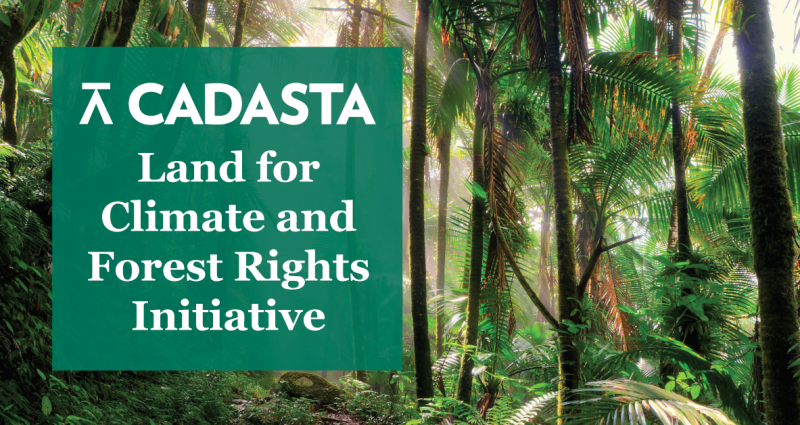 LandforClimateForests