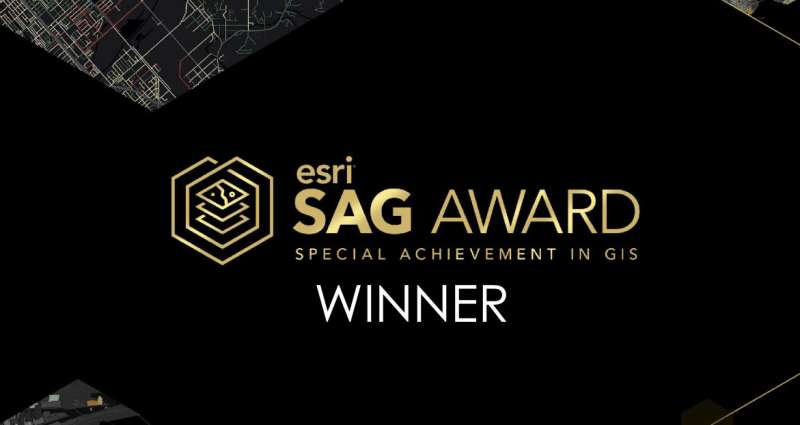 Sagwinner