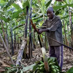 africa_03_scaling_community_land_rights_in_uganda