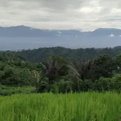 asia_01_mapping_the_future