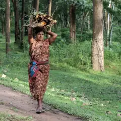 asia_02_encroachers_to_environmental_stewards