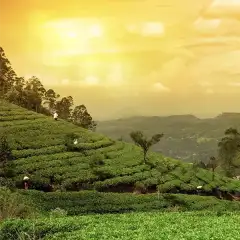 asia_07_worlds_largest_slumtitling_initiative_wins