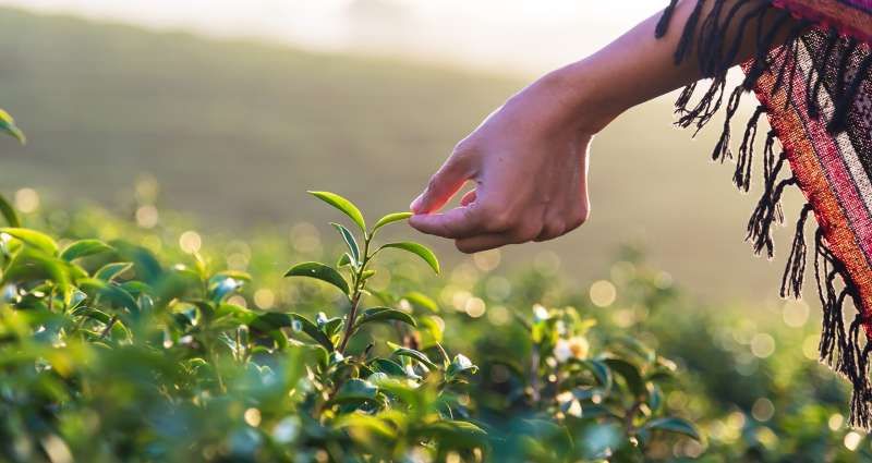 iStock-934538578-scaled