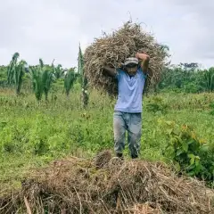 la_02_mapping_the_future_protecting_maya