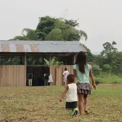 la_05_rainforest_labs