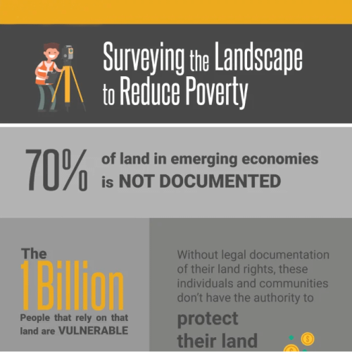 surveying_infographic